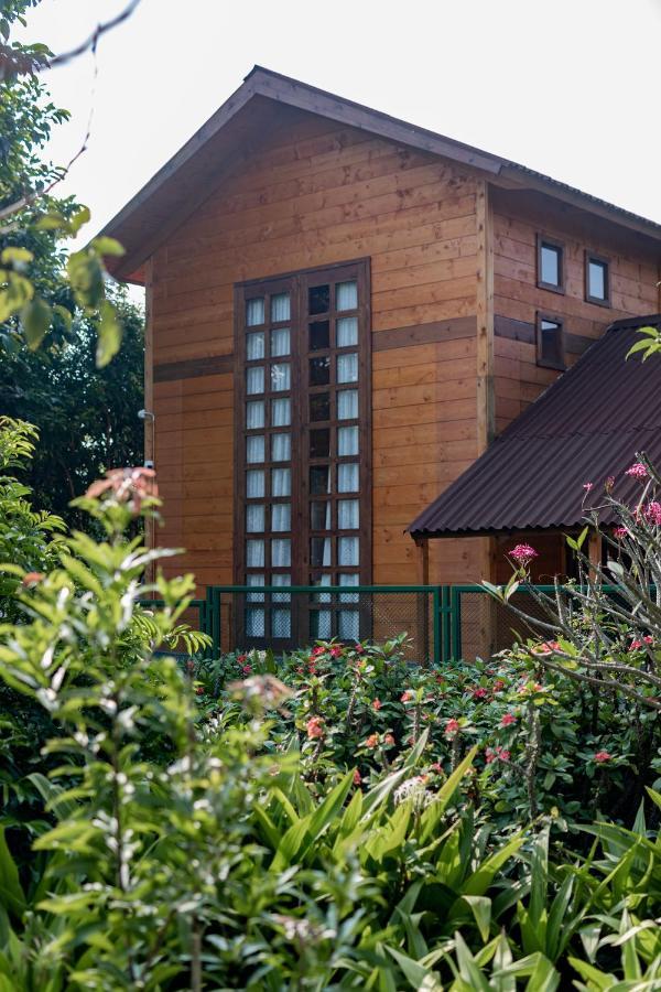 The Pine Loft Villa Bangalore Exteriör bild